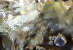 IMG_3281b